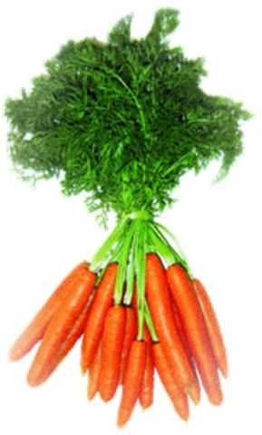 LAs Zanahorias y los Beta-carotenos