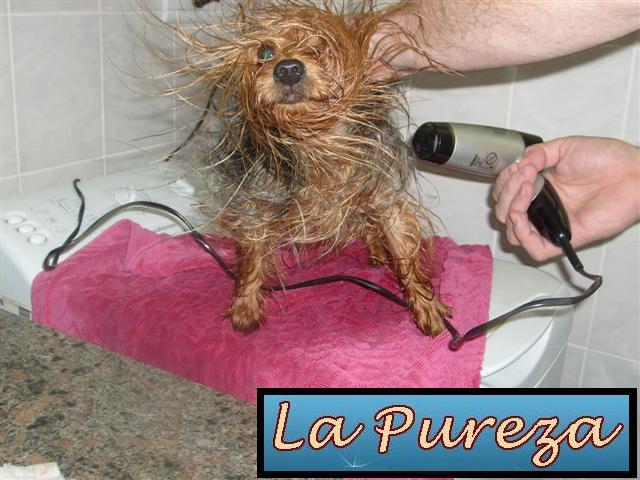 Regresa Pagina Actual